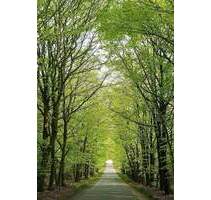 Wohnen im Zweifamilienhaus mit viel Raum zur Entfaltung! - Radeberg Ullersdorf