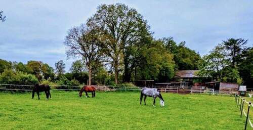Titel - Wohnen mit Pferden nahe der Metropole Hamburg