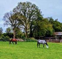 Wohnen mit Pferden nahe der Metropole Hamburg - Weddelbrook