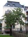 Hausrückseite - Etagenwohnung mit 51,70 m² in Zwickau-Nordvorstadt zur Miete