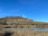 Blick in die Weinberge - 
