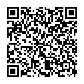 QR-Code - 
