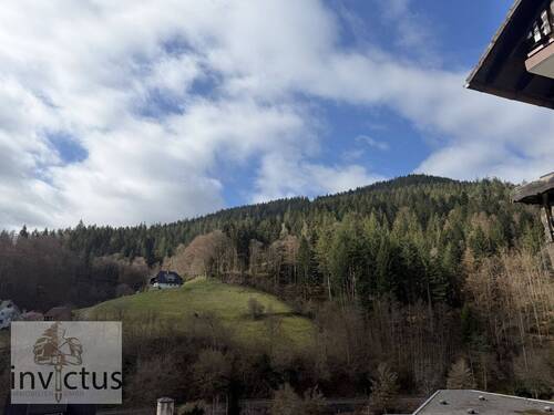 wunderschöne Aussicht in die Wälder - 