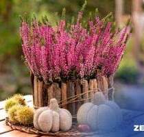 Bien-Zenker: Ihr individuell geplantes Wunschhaus in Hamburg - Bergstedt