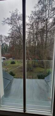 Blick aufs Grundstück - 