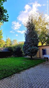 Gemeinschaftsgarten - 