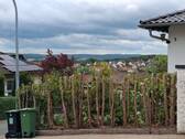 Ausblick - 