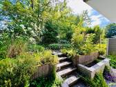 Blick in den Garten - 