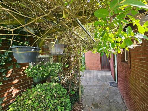 Blick zum Haus - 