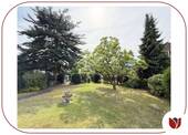 Großzügige Gartenanlage mit altem Baumbestand - 