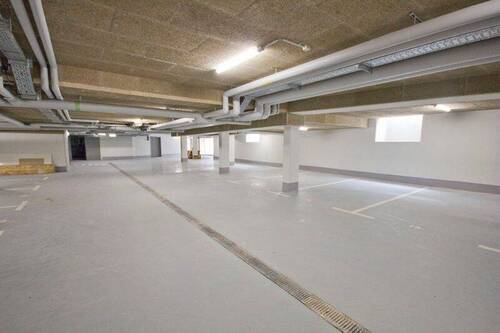 Tiefgarage - Etagenwohnung mit 164,10 m&sup2; in Halle (Saale) zur Miete