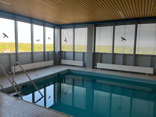 Schwimmbad - 
