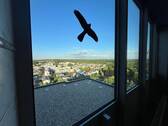 Ausblick vom Schwimmbad - 