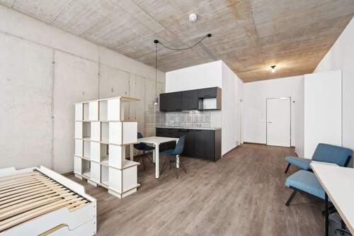 Loft - 1 Zimmer Etagenwohnung zur Miete in Aachen