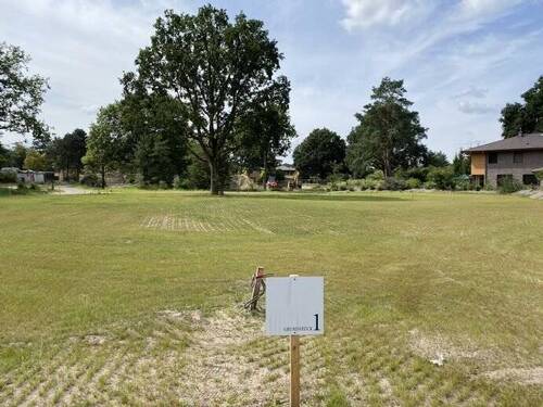 Bild 1 - Grundstück in Wildeshausen