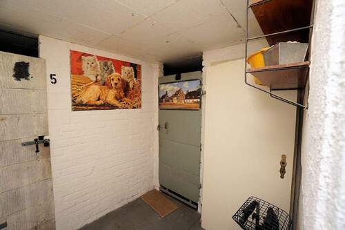 Kellerraum (1).jpg - 