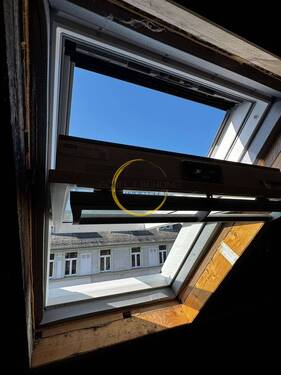 Dachfenster - 