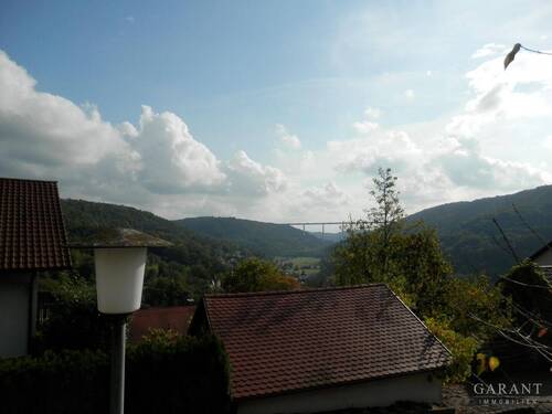 Freier-Ausblick - 