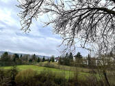 Bild10 - 