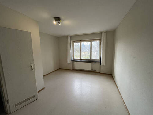 Bild19 - 