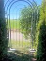 Ortsrandlage mit Ausgang ins Grün (2) - 