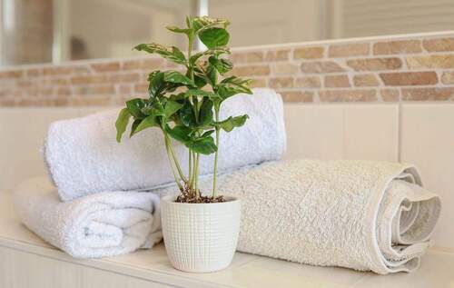 Bad im Obergeschoss - 