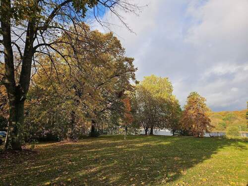 20251030_144711.jpg - 