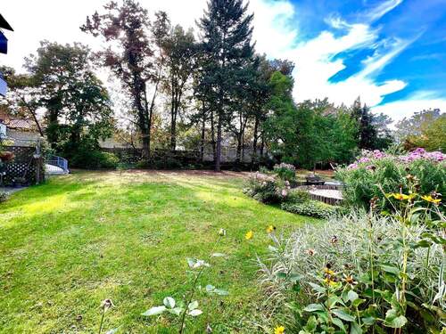 Gemeinschaftsgarten - 