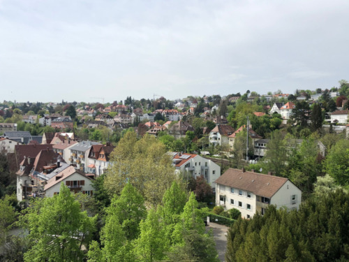 Aussicht - 3 Zimmer Etagenwohnung zur Miete in Stuttgart