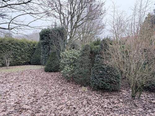 Baugrundstück2 - Grundstück in Bremen