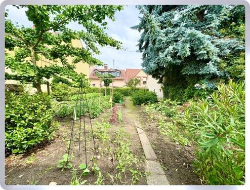 Garten - 