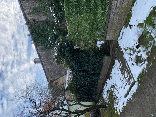 Garten 1.JPG - 3 Zimmer Mehrfamilienhaus, Wohnhaus in Nürnberg