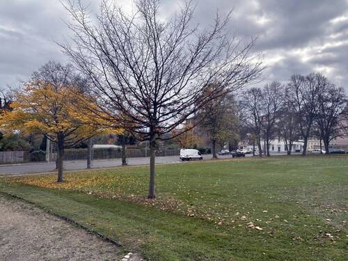 Goethepark - 