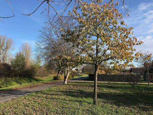 200 m entfernt - Unweit vom Bahnhof Spandau, eine wunderbare sonnige, grüne und ruhige Oase!