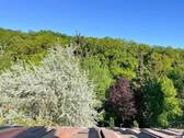 Ausblick - 