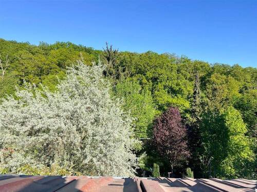 Ausblick - 