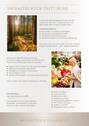 Exposé_Landscheid_Aufm_Maarflur_5 - 