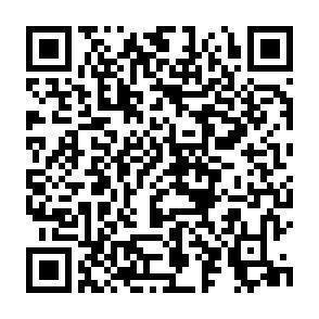 QR-Code - 