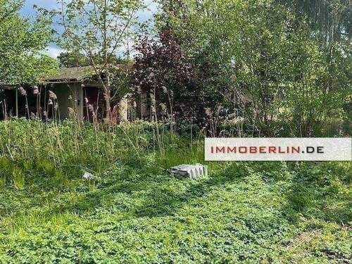 IMG_8294.jpg - Grundstück in Königs Wusterhausen zum Kaufen