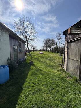 Blick in den Garten - 