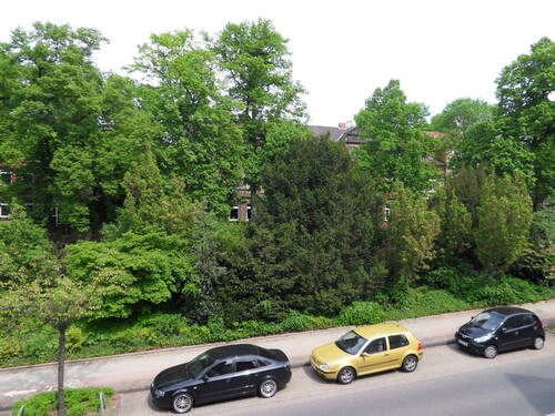 Ausblick Wohnzimmer - 