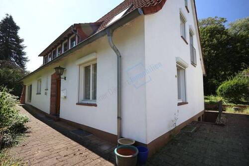 EINGANGSBEREICH - 7 Zimmer Einfamilienhaus in Darmstadt