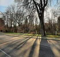 Bauen leicht gemacht: Grundstück in Colditz mit Bauvorbescheid, ohne Maklerprovision