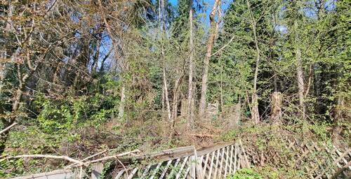 Grundstück vom Weg aus.jpeg - 