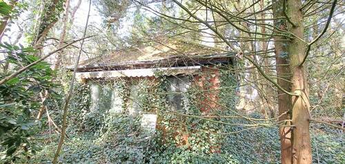 das Häuschen ... - Mehrfamilienhaus, Wohnhaus mit 40,00 m&sup2; in Vierden zum Kaufen