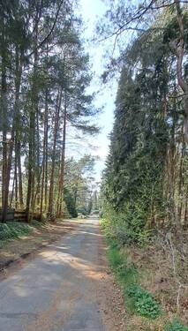 der Weg vor dem Grundstück ... - 