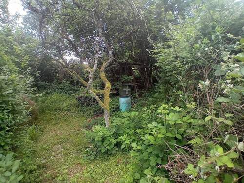 Garten.jpg - Grundstück in Schorndorf
