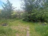 Garten.jpg - 