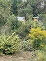 Gartenidylle - 