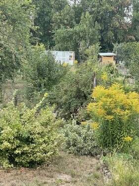 Gartenidylle - 